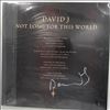 David J (Bauhaus) -- Not Long For This World (2)