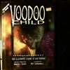 Hendrix Jimi -- Green Martin, Sienkiewicz Bill - Voodoo Child: The Illustrated Legend of Hendrix Jimi / Jimi By Himself The Home Recordings (2)