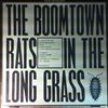 Boomtown Rats -- In THe Long Grass (1)