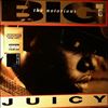 Notorious B.I.G. (Notorious BIG) -- Juicy (2)