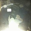 El Doom & The Born Electric -- Same (1)
