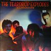 Teardrop Explodes -- Kilimanjaro (2)