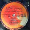 Pink Floyd -- Delicate Sound Of Thunder (2)