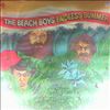 Beach Boys -- Endless Summer (2)