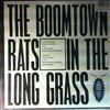 Boomtown Rats -- In the long grass (1)