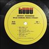 Hammond Johnny -- Wild Horses Rock Steady (1)