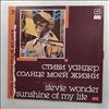 Wonder Stevie -- Sunshine of my life (2) (2)