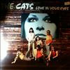 Cats -- Love In Your Eyes (2)