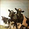 Pink Floyd -- Atom heart mother (2)