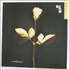 Depeche Mode -- Violations (2)
