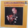 Montoya Carlos -- Art Of The Flamenco Guitar (1)