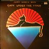 Garcia Jerry Band -- Cats Under The Stars (1)