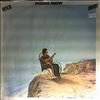 Snow Phoebe -- Rock Away (2)