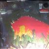 Meat Puppets -- 2 (1)