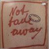 Amiga Blues Band -- Not Fade Away (1)