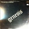 Genesis -- From Genesis To Revelation (2)