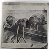 Walrus -- Same (3)