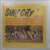 Lively Ones -- Surf City (2)