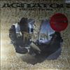 Reaction -- Agitator (2)