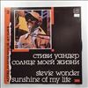 Wonder Stevie -- Sunshine of my life (2) (2)