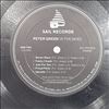 Green Peter (ex - Fleetwood Mac) -- In The Skies (2)