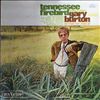 Burton Gary -- Tennessee fire bird (2)