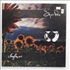 Sigur Ros -- Sunflower (Live 2013) (2)