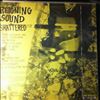 Reigning Sound -- Shattered (2)