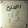 Wilson Dennis (Beach Boys) -- Bambu (The Caribou Sessions) (2)