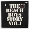 Beach Boys -- Beach Boys Story Vol. 1: The Surfin' Era (1)