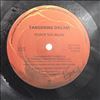 Tangerine Dream -- Force Majeure (3)