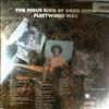 Fleetwood Mac -- Pious Bird Of Good Omen (1)