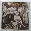 Caravan -- Waterloo Lily (1)
