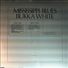 White Bukka -- Mississippi blues (1)