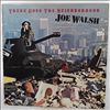 Walsh Joe -- There Goes The Neighborhood (1)