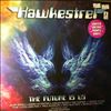 Hawkestrel (Davey Alan - Hawkwind) -- Future Is Us (2)