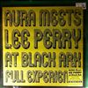 Aura Meets Lee Perry -- At Black Ark Full Experience (1)