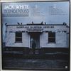 White Jack (White Stripes) -- Blunderbuss (3)