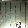 Cale J.J. -- Grasshopper (2)