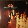 Cher -- Bittersweet White Light (4)