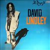 Lindley David -- El RAYO-X (1)